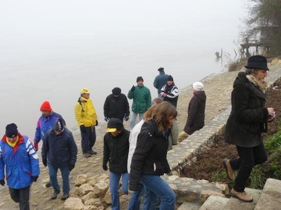 Epais, le brouillard