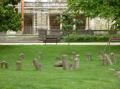 Les Alignements du Jardin Public