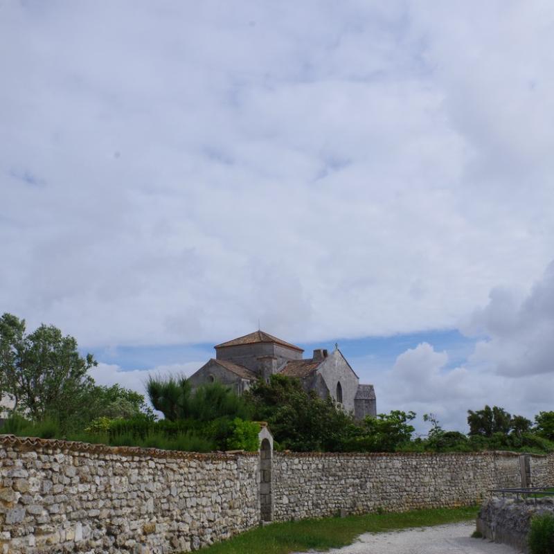 IMGP0020