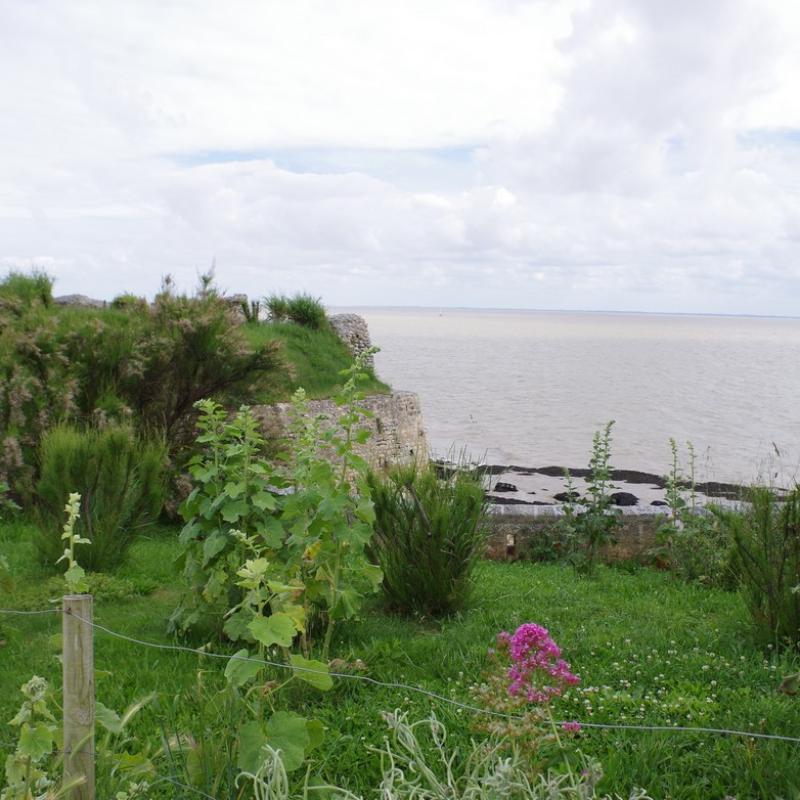 IMGP0029