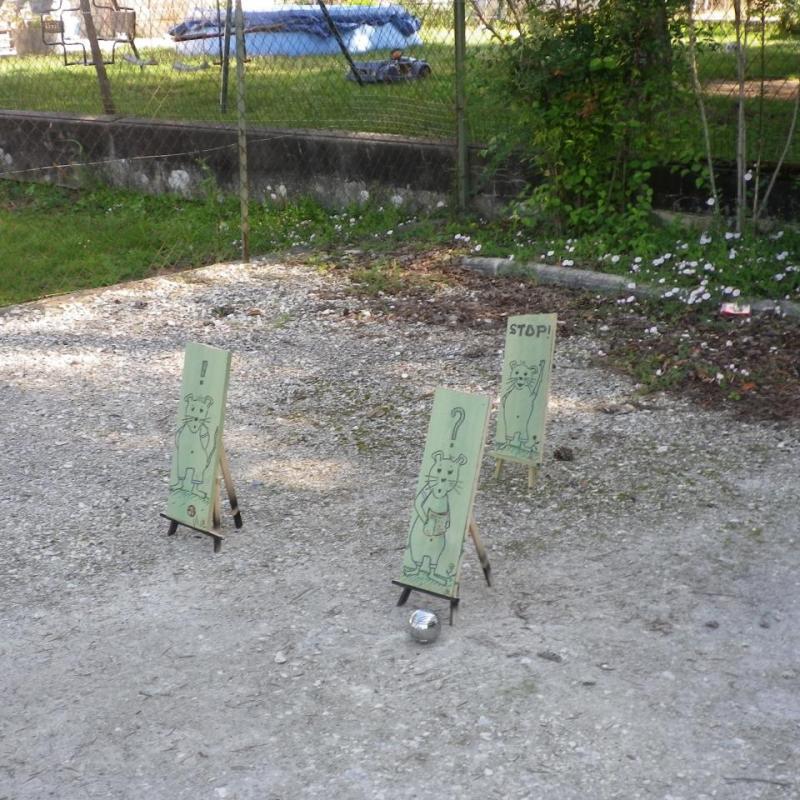 IMGP3987
