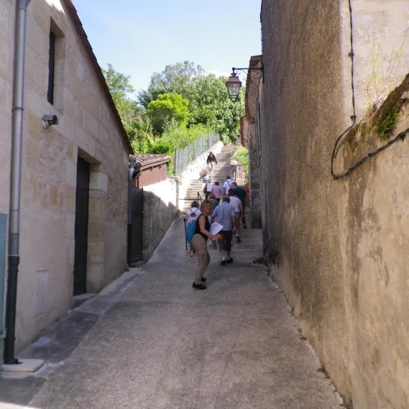 IMGP3995
