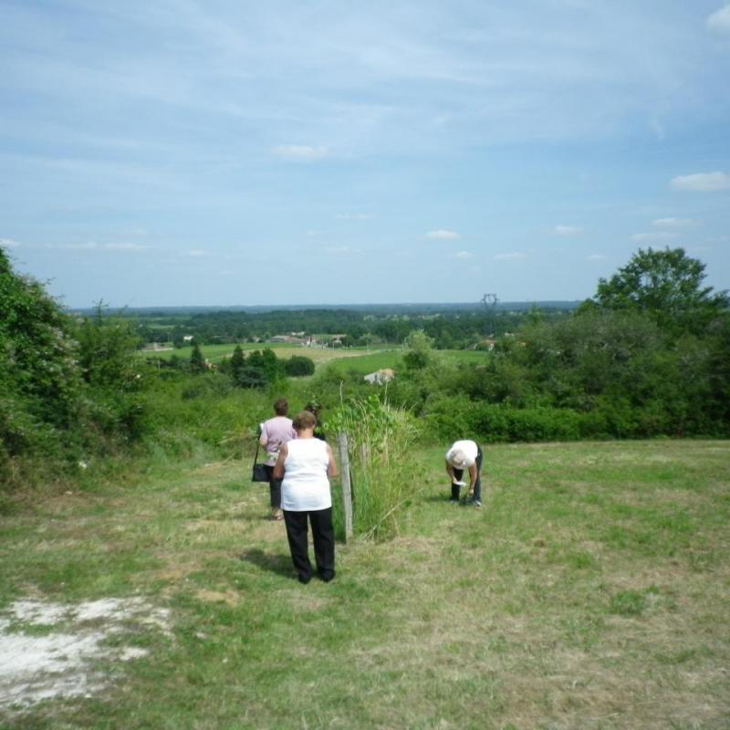 IMGP4098