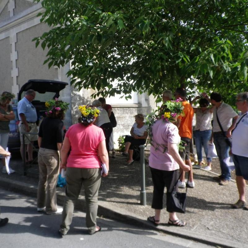 IMGP4135