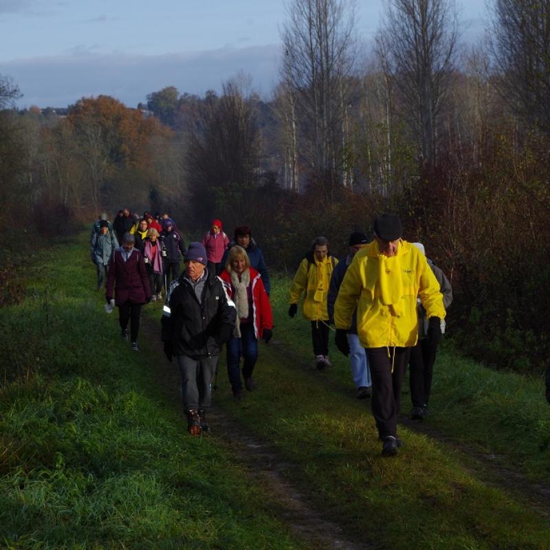 Marche Téléthon 2017 (10)