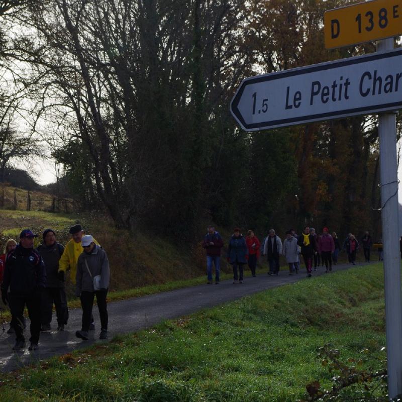 Marche Téléthon 2017 (14)