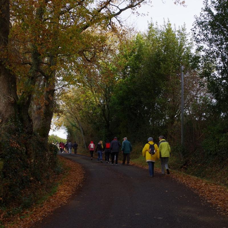 Marche Téléthon 2017 (15)