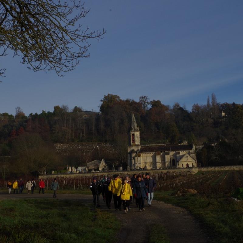 Marche Téléthon 2017 (8)