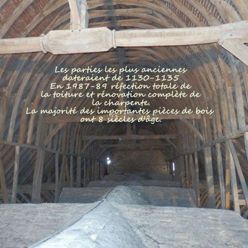 P6150098-1