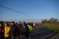 Téléthon 2014 (7)