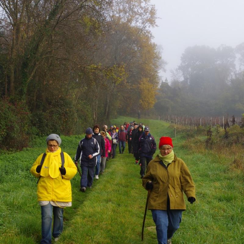 Téléthon 2015 (16)
