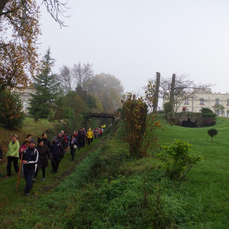 Téléthon 2015 (21)