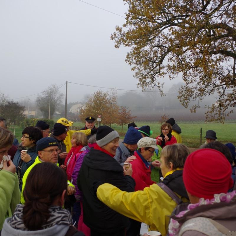 Téléthon 2015 (25)