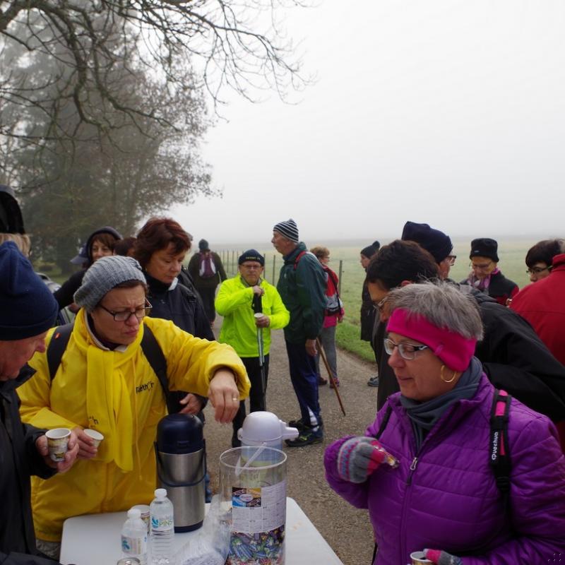 Téléthon 2015 (34)