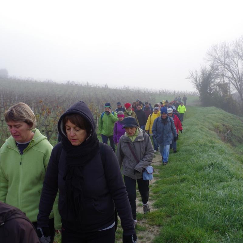 Téléthon 2015 (36)