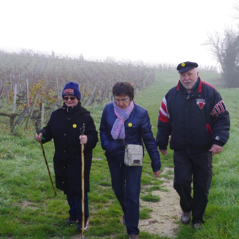Téléthon 2015 (39)