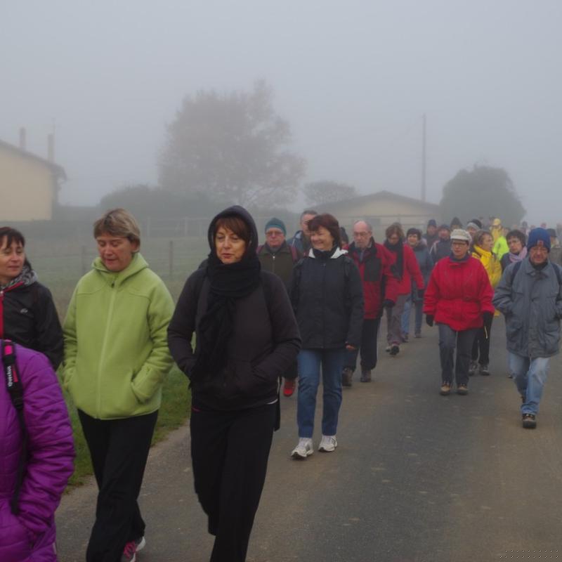 Téléthon 2015 (4)