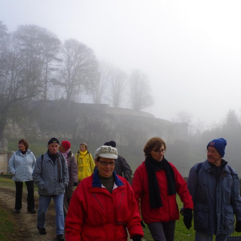 Téléthon 2015 (49)