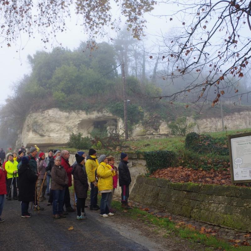 Téléthon 2015 (50)