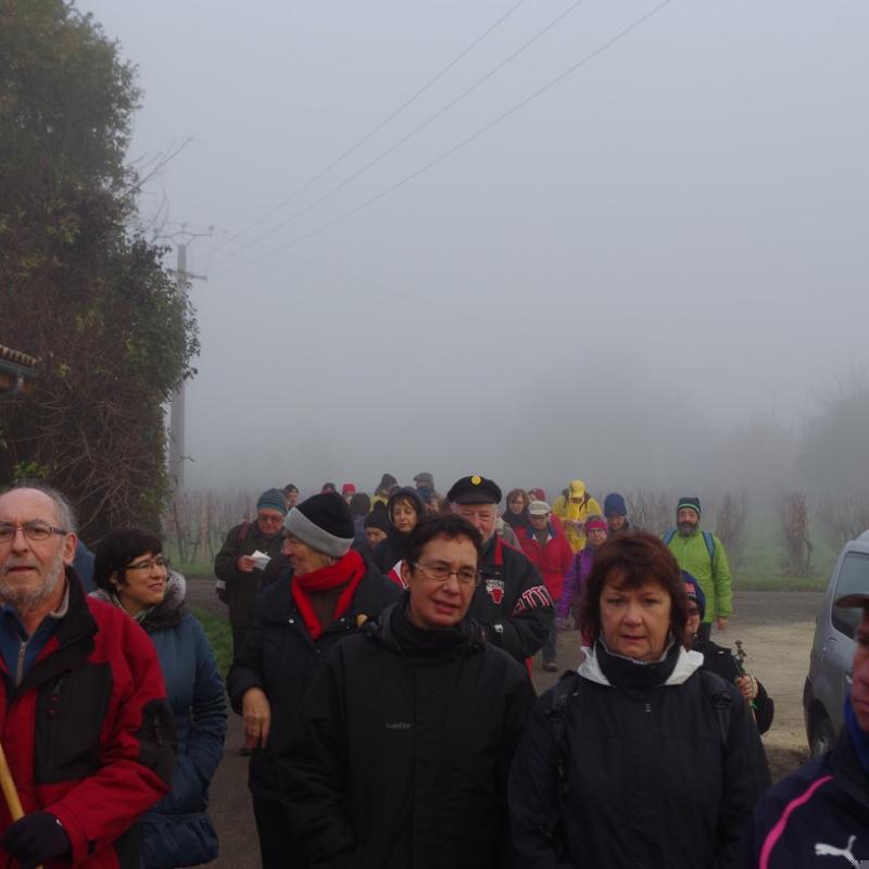 Téléthon 2015 (6)