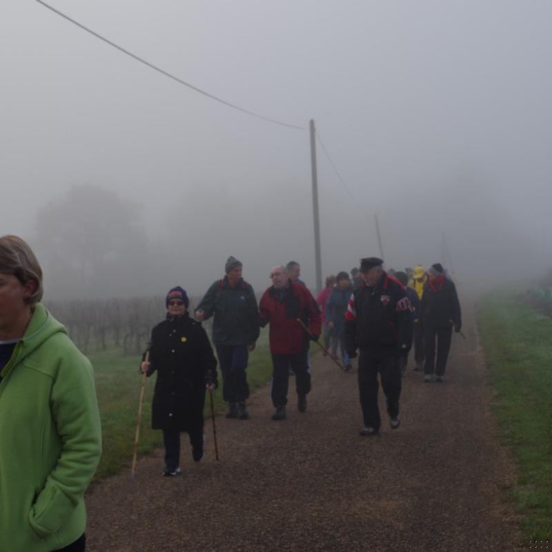 Téléthon 2015 (9)