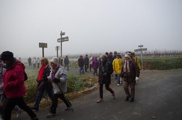 Téléthon Lugon 2016  (14)