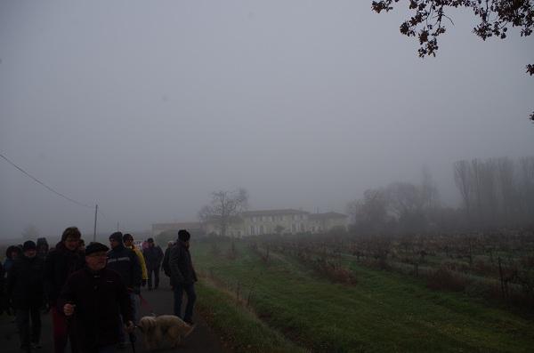 Téléthon Lugon 2016  (22)